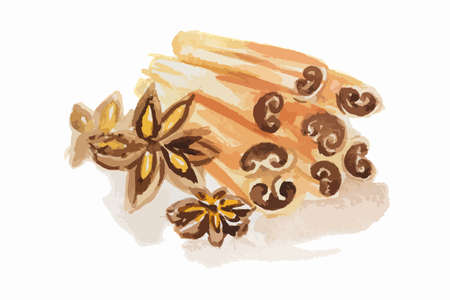 Watercolor anise and cinnamon. Isolated spice on white background. Seasoning for meal or dessert.のイラスト素材