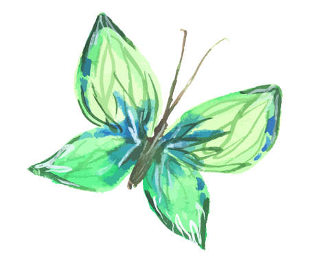 Isolated watercolor green butterfly on white background. Beautiful fragile creature for decoration.のイラスト素材