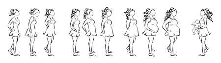 Pregnancy stages concept. Pregnant female silhouettes. Three trimesters with baby birth.のイラスト素材
