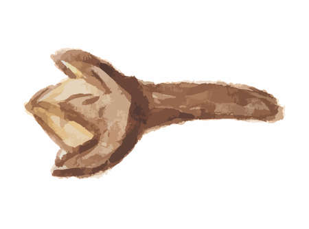 Watercolor isolated clove. Food seasoning and aromatherapy. Asian aromatic herb. Christmas cooking.のイラスト素材