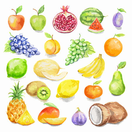 Watercolor fruit set. Juicy and colorful tropical fruit on white background including apples, mango, plum, coconut, lime and more. Vegetarian diet food with vitamins.のイラスト素材