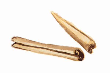 Isolated watercolor cinnamon. Tasty seasoning. Organic herbal vitamin. Ingredient for christmas food and beverage.のイラスト素材