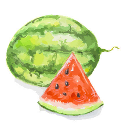 Isolated watercolor watermelon on white background. One whole green watermelon and red slice with black seeds. Juicy and sweet fruit.のイラスト素材