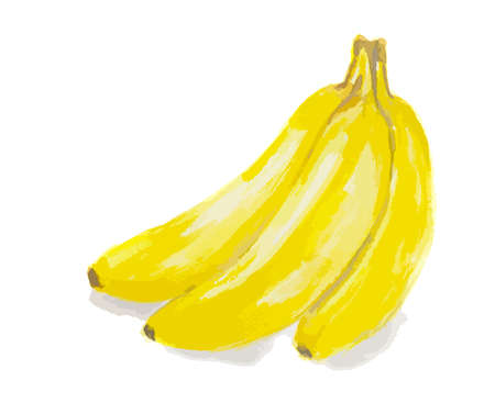 Isolated watercolor bananas on white background. Tropical and fresh fruit full of protein and vitamins. Organic and vegetarian nutrition.のイラスト素材