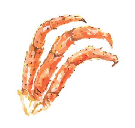 Isolated watercolor crabs claws on white background. Helathy gourmet seafood.のイラスト素材