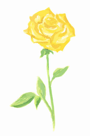Isolated watercolor yellow rose on white background. Beautiful and gentle flower. Romantic decoration.のイラスト素材