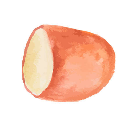 Isolated watercolor cheese on white background. Tasty and healthy snack. Dairy gourmet food.のイラスト素材