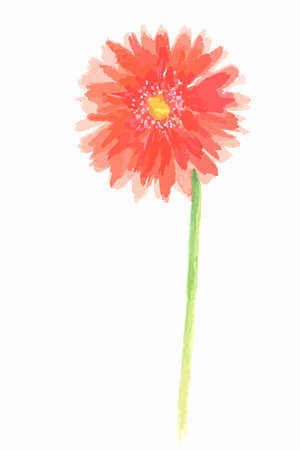 Isolated watercolor flower on white background. Beautiful and elegant flower for decoration.のイラスト素材