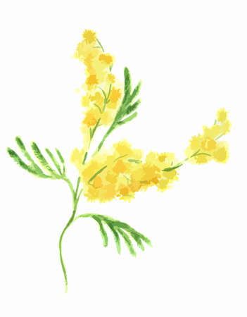 Isolated watercolor flower on white background. Beautiful and elegant flower for decoration.のイラスト素材
