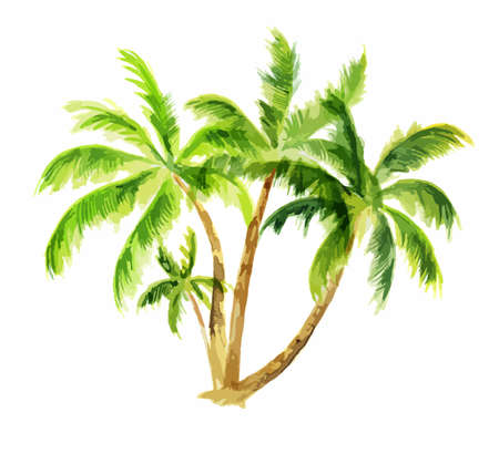 Watercolor palm set on white background. Tropical exotic beach tree for decoration.のイラスト素材