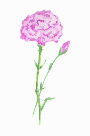 Isolated watercolor flower on white background. Beautiful and elegant flower for decoration.のイラスト素材