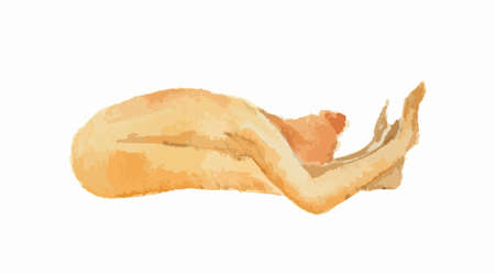 Watercolor yoga pose on white background. Asana. Healthy lifestyle and relaxation.のイラスト素材