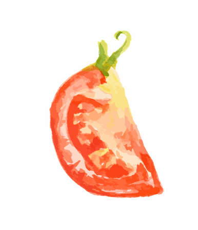 Isolated watercolor tomatoes on white background. Healthy and ripe fresh vegetable for cooking and decoration.のイラスト素材