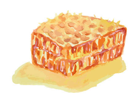 Isolated watercolor honeycomb on white background. Sweet and tasty food.のイラスト素材