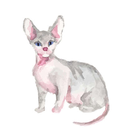 Isolated watercolor cat sitting on white background. sphinxのイラスト素材