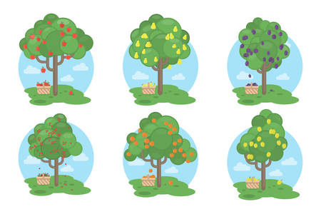 Fruits trees set on white background. Apples, plums, pears and more.のイラスト素材