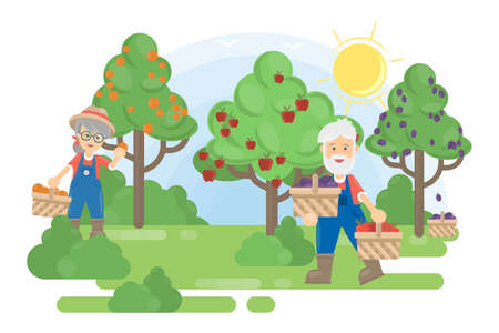Couple in garden. Senior farmers grow the trees with fruits.のイラスト素材