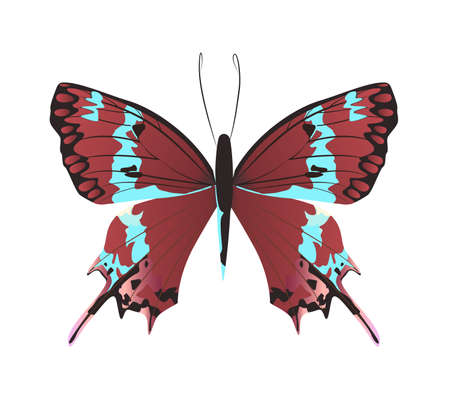 Isolated beautiful butterfly on white background. Red and turquoise colors.のイラスト素材