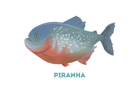 Isolated piranha fish.のイラスト素材