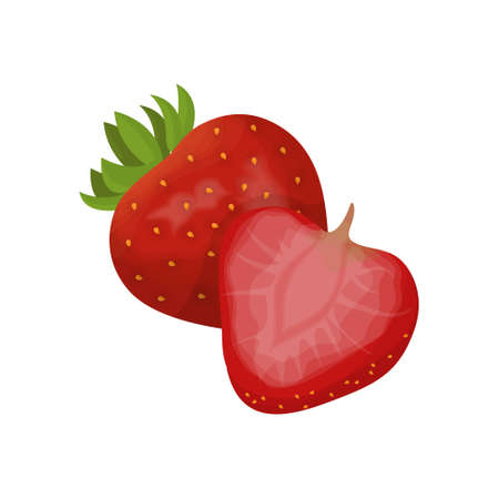 Isolated strawberry berry.のイラスト素材