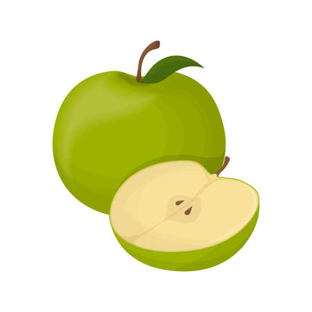 Isolated apple fruit.のイラスト素材