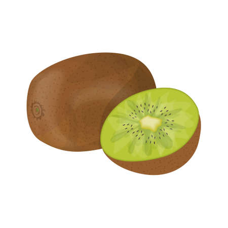 Isolated kiwi fruit.のイラスト素材