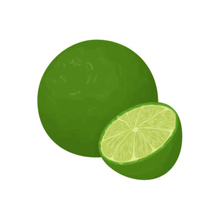 Isolated lime fruit.のイラスト素材