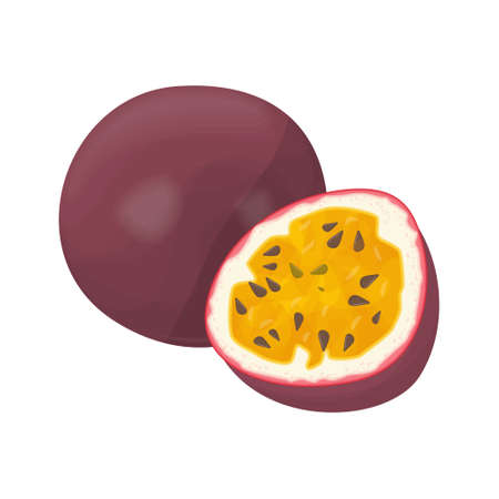 Isolated passion fruit.のイラスト素材