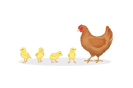 Hen with chicks on white background. Farm animals.のイラスト素材