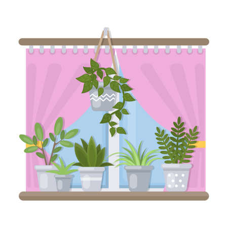 Plants and window.のイラスト素材