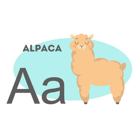 Alpaca on alphabet. First letter A with funny animal.のイラスト素材