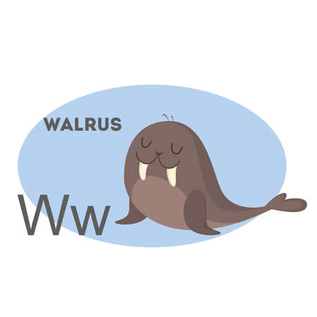 Walrus on alphabet. Letter W with funny animal.のイラスト素材