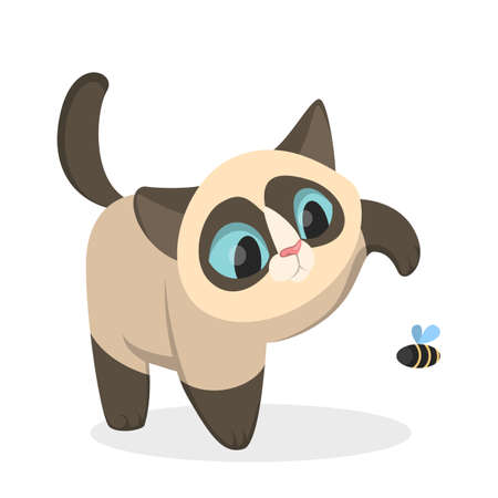 Isolated siamese cat. Vector illustration.のイラスト素材