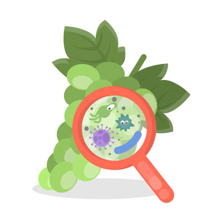 Grapes with germs.のイラスト素材