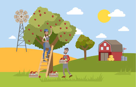 Young happy female farmer standing on the ladder and picking red apples from a huge apple tree. Male...