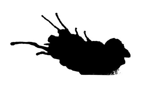 Black ink splash or drop made with brush. Ink splatter. Isolated vector illustrationのイラスト素材