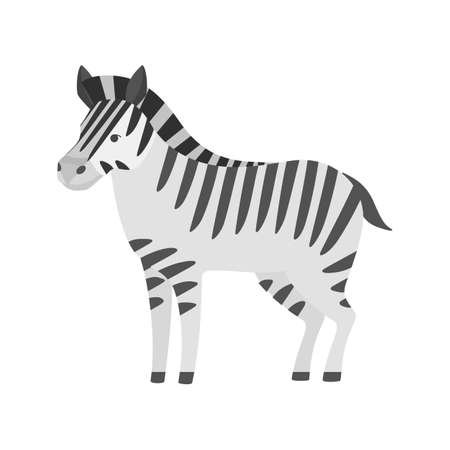 African black and white zebra animal isolated. Mammal wild character. Isolated flat vector illustrationのイラスト素材