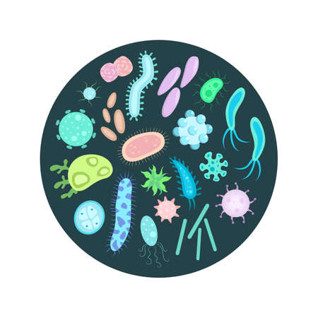 Big set of bacteria, virus and microbeのイラスト素材