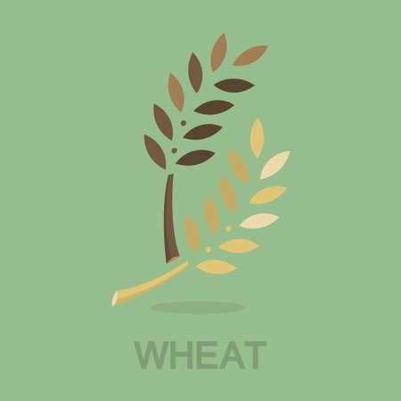 Wheat icon for agriculture . Bread grainのイラスト素材