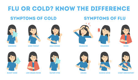 Cold and flu symptoms infographic. Fever and coughのイラスト素材