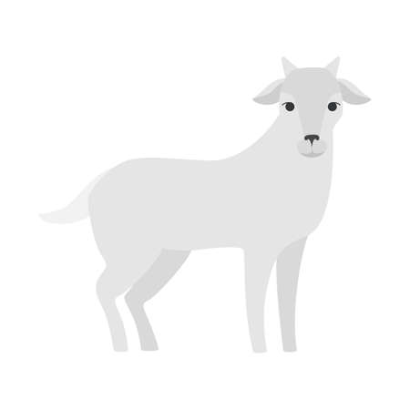 Cute goat from the farm. Domestic cattle animal with horn. Isolated flat vector illustrationのイラスト素材