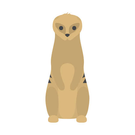 Funny cute meerkat. Wild desert animal from africa. Creature standing. Isolated flat vector illustrationのイラスト素材