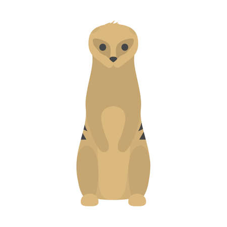 Illustration pour Funny cute meerkat. Wild desert animal from africa. Creature standing. Isolated flat vector illustration - image libre de droit