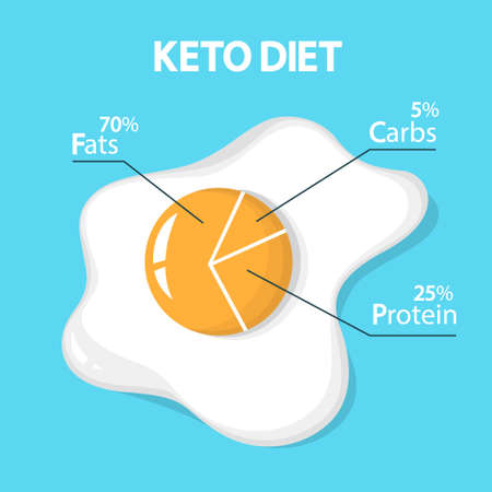 Keto diet concept. Egg diagram showing percentage of fats, carbs and protein. Low-carb nutrition. Ketogenic diet graphic. Isolated vector illustration in cartoon styleのイラスト素材