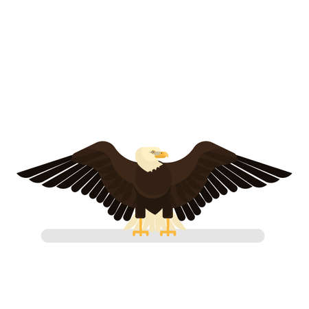 Eagle character. White and black bird. Americanのイラスト素材