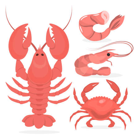 Seafood collection. Crab and shrimp, shellfish. Delicious fresh meal. Vector illustration in cartoon styleのイラスト素材