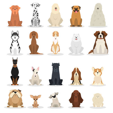 Dog set. Collection of dogs of various breedのイラスト素材