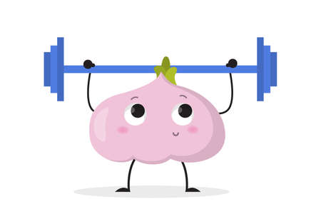 Funny garlic character doing sport exercise using barbell. Healthy activity, fitness. Training in the gym concept. Vector illustration in cartoon styleのイラスト素材