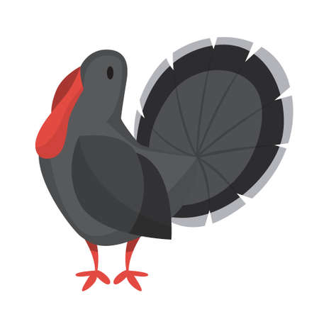 Turkey bird. Farm animal with dark feather. Thanksgiving day dish. Funny creature. Isolated vector illustration in cartoon styleのイラスト素材
