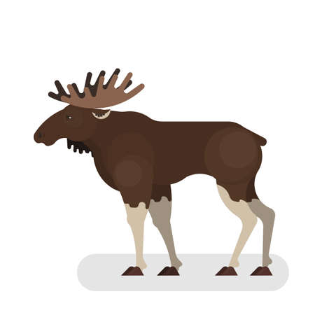 Moose animal. Wild mammal with a big hornのイラスト素材